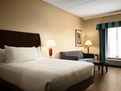 Hilton Garden Toronto/vaughan Hotel
